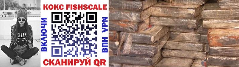 Cocaine Fish Scale  Купить закладки  Елизаветинская 
