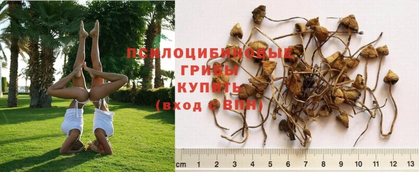 героин Приозерск